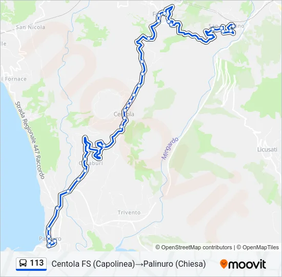 113 Bus Line Map