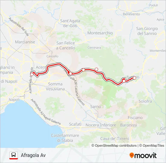 BARTOLINI Bus Line Map