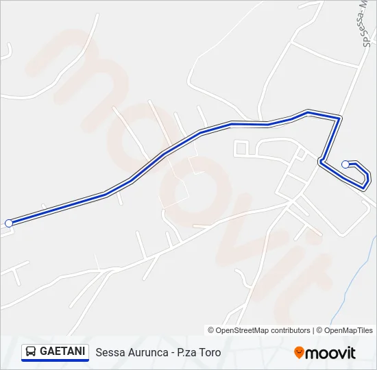 GAETANI Bus Line Map