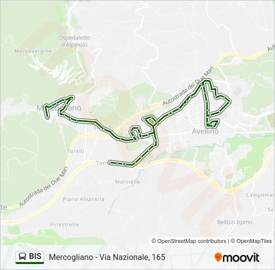 BIS Bus Line Map