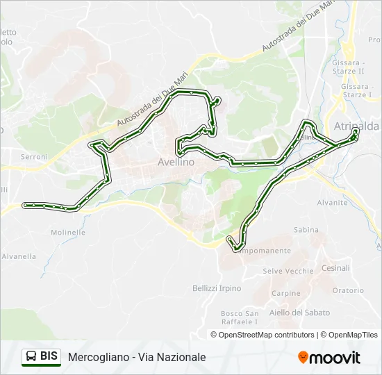BIS Bus Line Map