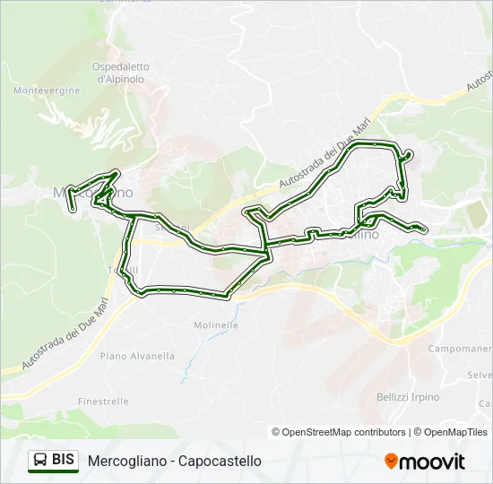 BIS Bus Line Map
