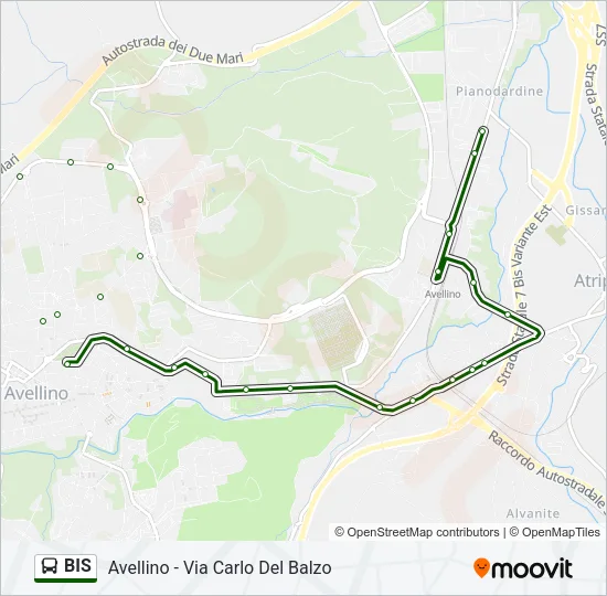 BIS Bus Line Map