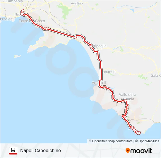 CILENTOBUS Bus Line Map