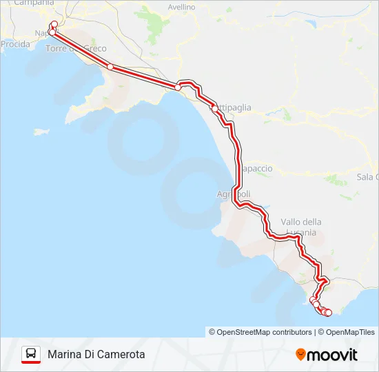 CILENTOBUS Bus Line Map