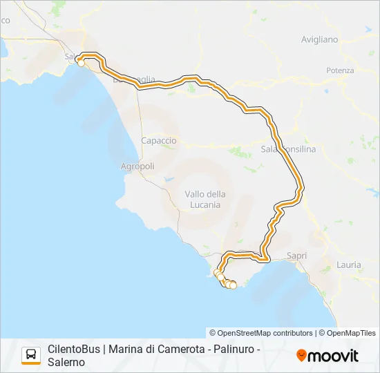 CILENTOBUS Bus Line Map