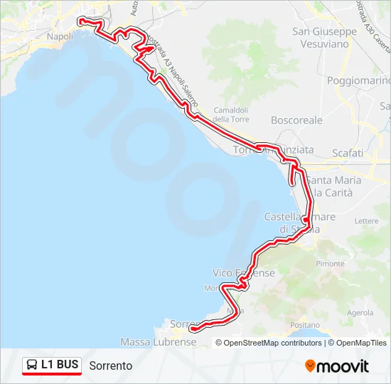 L1 BUS Bus Line Map