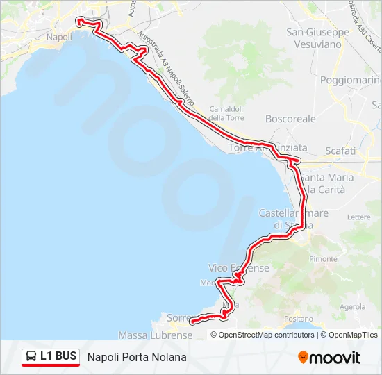 L1 BUS Bus Line Map