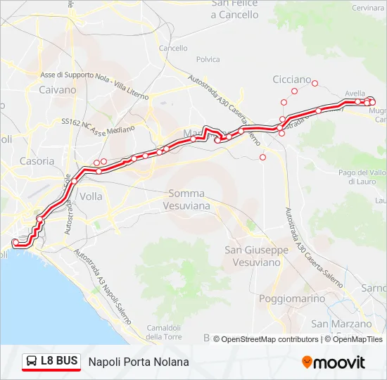 L8 BUS Bus Line Map