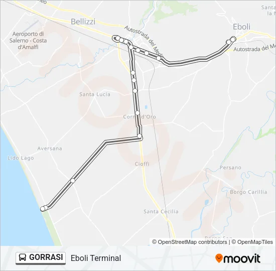 GORRASI Bus Line Map