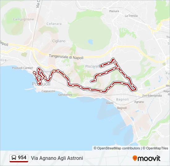 954 Bus Line Map