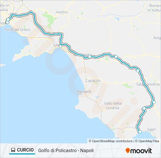 Percorso linea bus CURCIO
