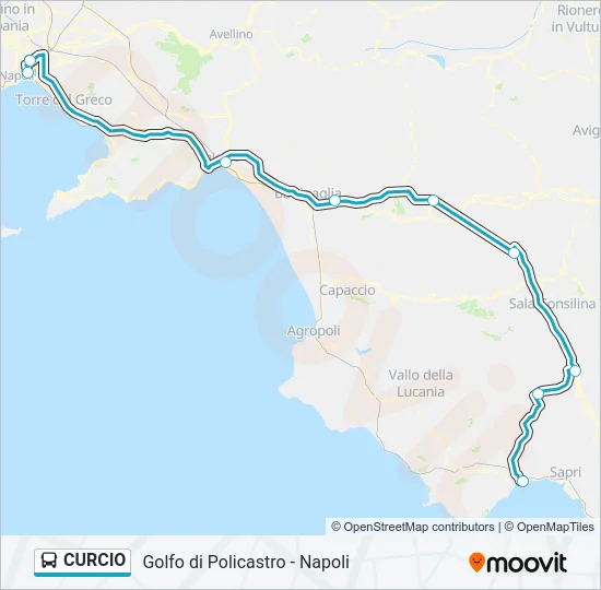 CURCIO Bus Line Map