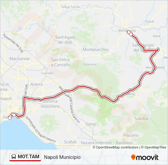 MOT.TAM Bus Line Map