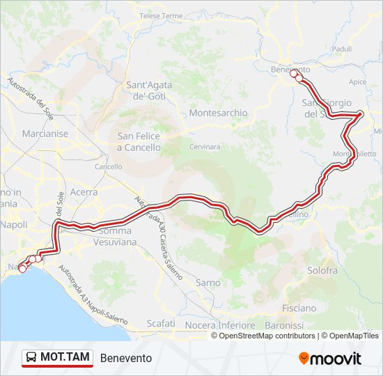 Percorso linea bus MOT.TAM