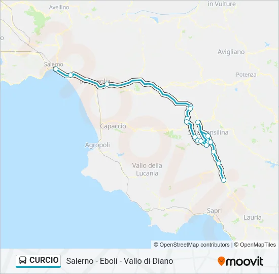 CURCIO Bus Line Map