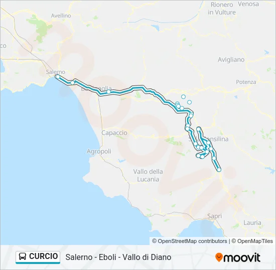 CURCIO Bus Line Map