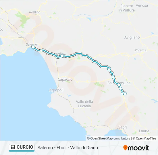CURCIO Bus Line Map