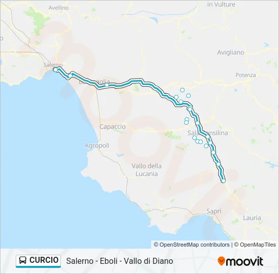 CURCIO Bus Line Map
