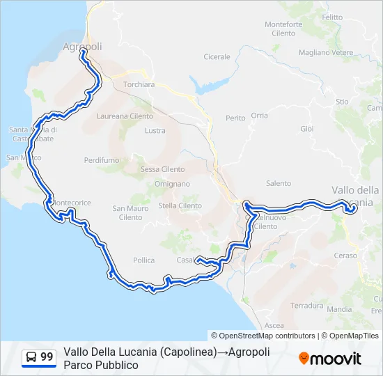 99 Bus Line Map