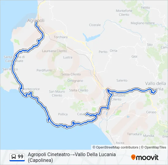 99 Bus Line Map