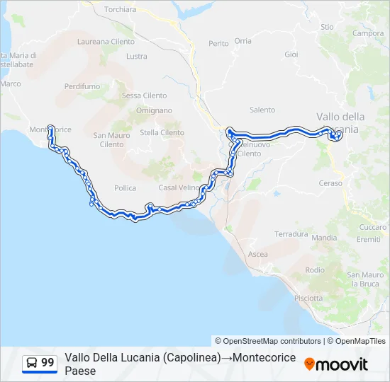 99 Bus Line Map