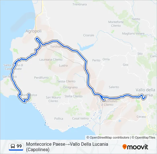99 Bus Line Map