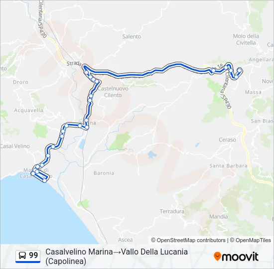 99 Bus Line Map
