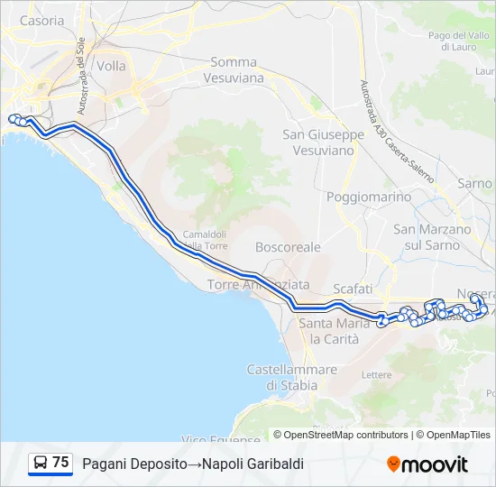75 Bus Line Map