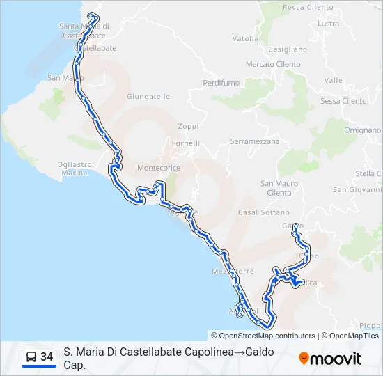 34 Bus Line Map