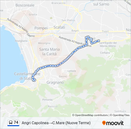 74 Bus Line Map