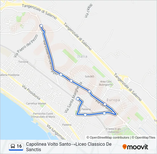16 Bus Line Map