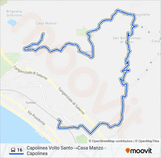16 Bus Line Map