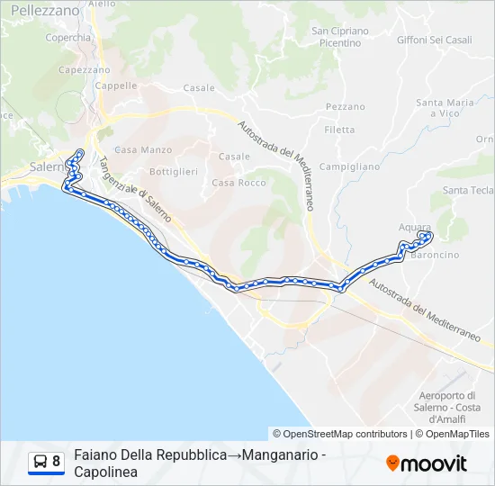 8 Bus Line Map