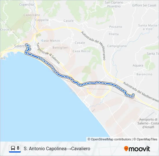 8 Bus Line Map