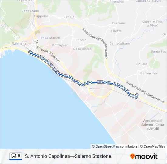 8 Bus Line Map