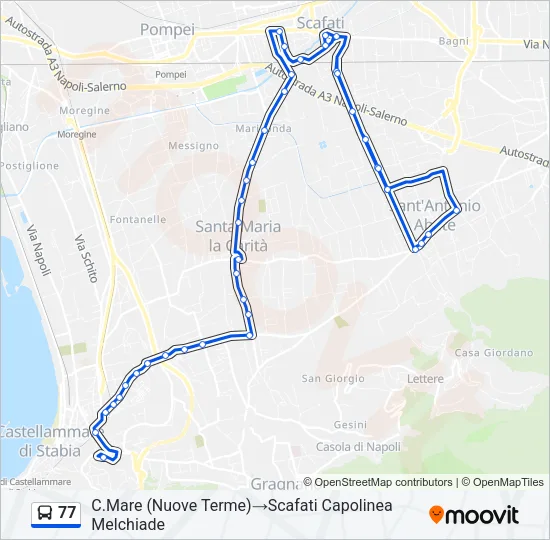 77 Bus Line Map