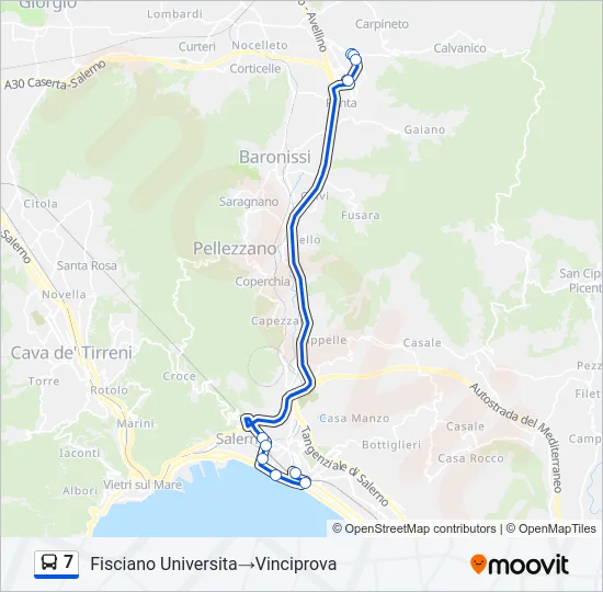7 Bus Line Map