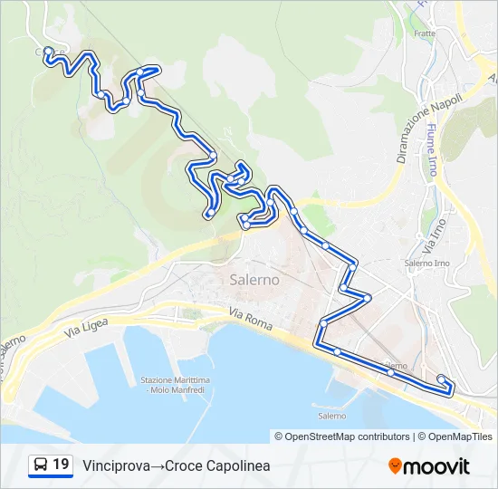 19 Bus Line Map