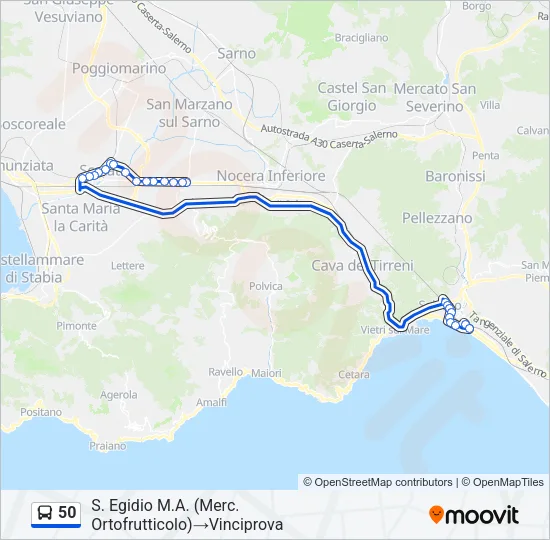 50 Bus Line Map
