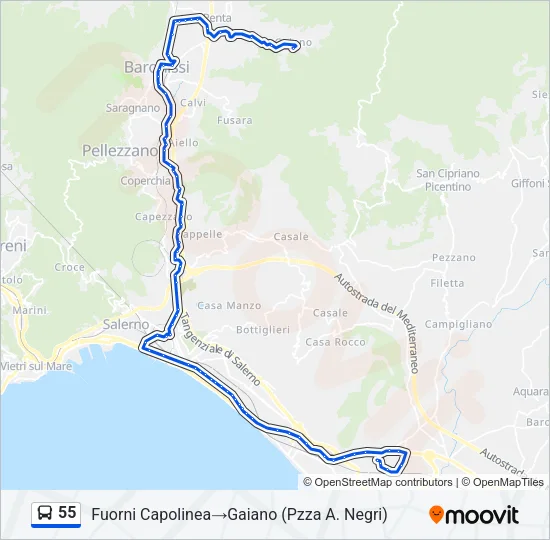 55 Bus Line Map