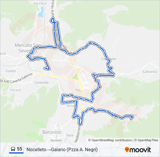 55 Bus Line Map