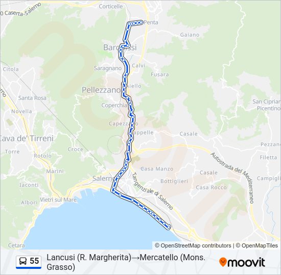 55 bus Line Map