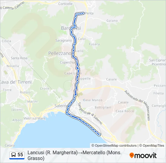 55 Bus Line Map