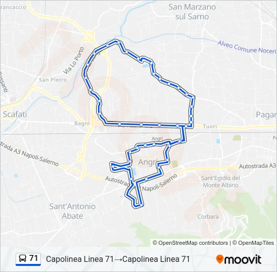 71 Bus Line Map