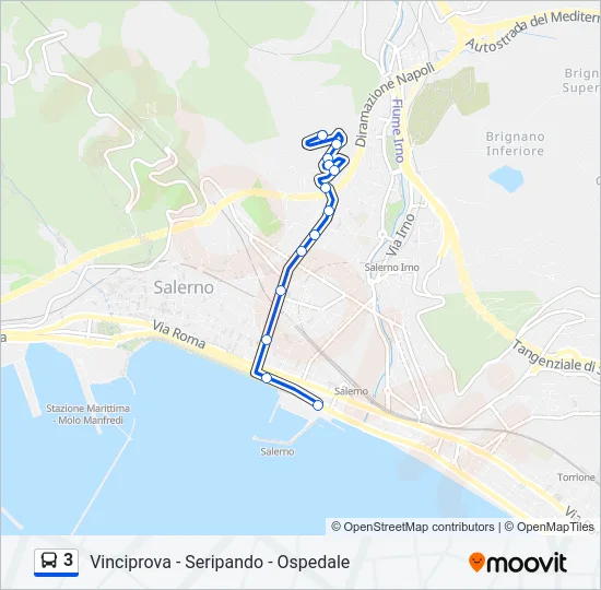3 Bus Line Map