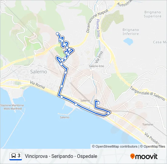3 Bus Line Map