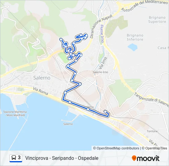 3 Bus Line Map