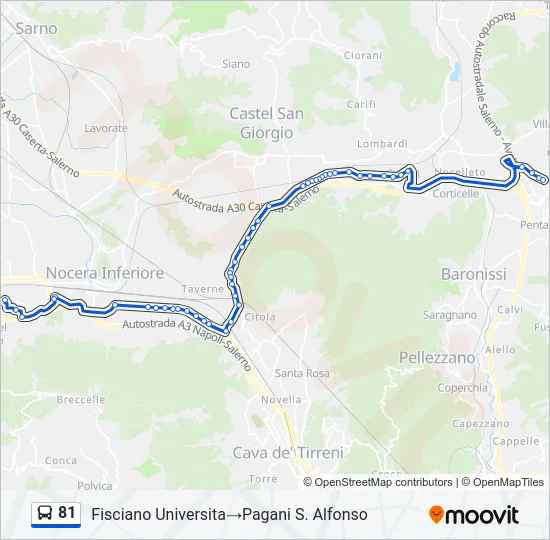 81 Bus Line Map