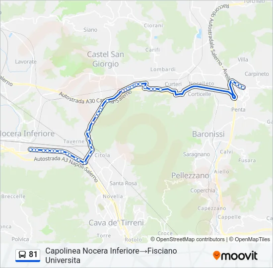 81 Bus Line Map